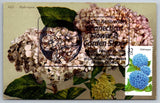 #2996 Fall Garden Flowers Hydrangea Maxi Card w/Pictorial Flower Cancel Hydrangea