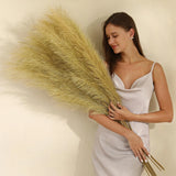 Gold Pampas Grass Decor - 45-Inch Set of 8 | Faux Tall Pampas Grass Soft and ... Pampas Grass