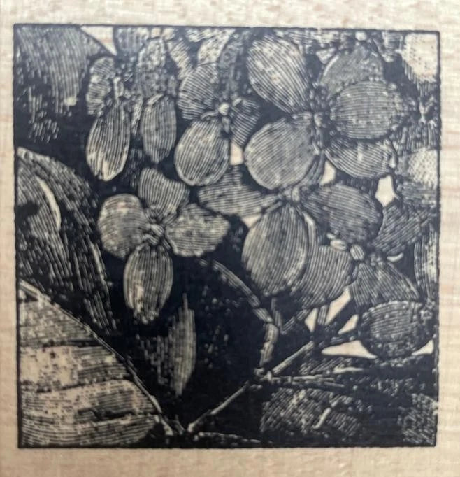 MAGENTA Rubber Stamp vintage HYDRANGEA FLOWER TILE wd mntd Hydrangea