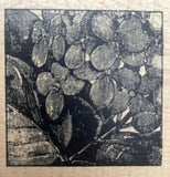 MAGENTA Rubber Stamp vintage HYDRANGEA FLOWER TILE wd mntd Hydrangea