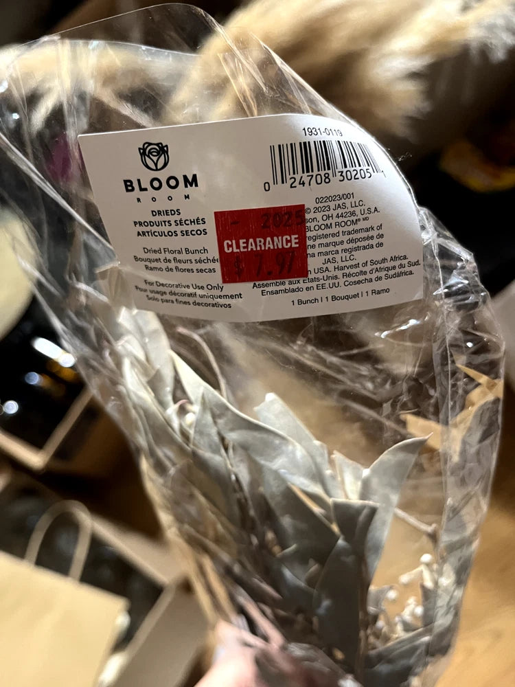 Unused Pampas Grass Stem & Bloom Room Dried Floral Bunch_Ð_Brand_New Home Decor Pampas Grass