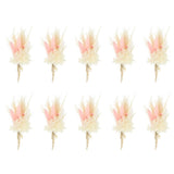 10 Pcs Mini Pampas Grass Dried Flower Bouquet Baby's Breath Boho Light Pink Pampas Grass