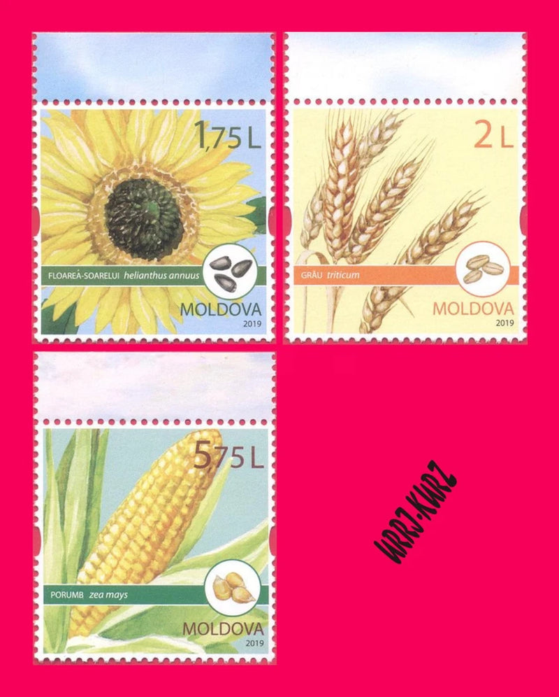 MOLDOVA 2019 Nature Flora Plants Flowers Fruits Sunflower Wheat Maize Corn 3v MN Sunflower