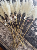 Faux Pampas Grass Stem Branch Beige - Threshold  10 Pieces Indoor Decorative Pampas Grass