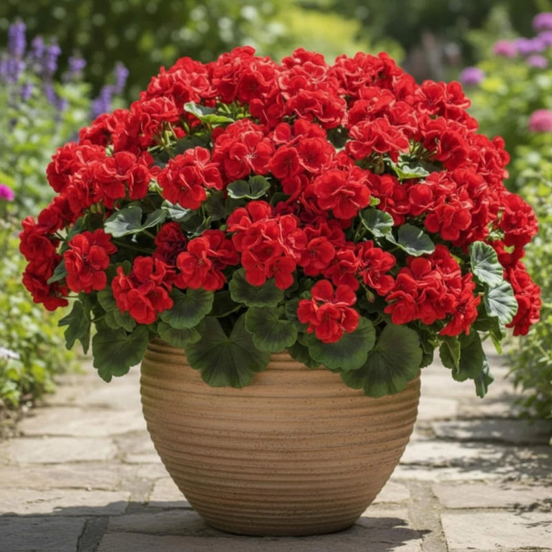 8 Bundles Artificial Geraniums for Outdoor 17 Inch Faux Silk Geraniums Plants... Green Plant