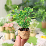 1/12 Dollhouse Potted Flowers Plants, Fairy garden Scene, Flowering Plants