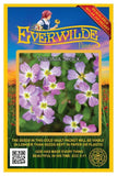 2000 Virginia Stock Wildflower Seeds - Everwilde Farms Mylar Seed Packet Garden Plants