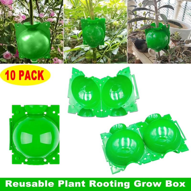 10 Pack Green Plant Root Growing Grafting Ball High Pressure Propagation Box Pod Garden Plants