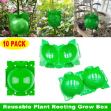 10 Pack Green Plant Root Growing Grafting Ball High Pressure Propagation Box Pod Garden Plants