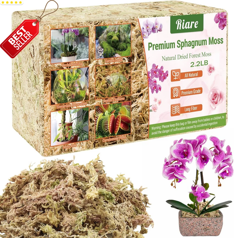 Sphagnum moss potting mix in bag with loose dried moss pile and orchid plant