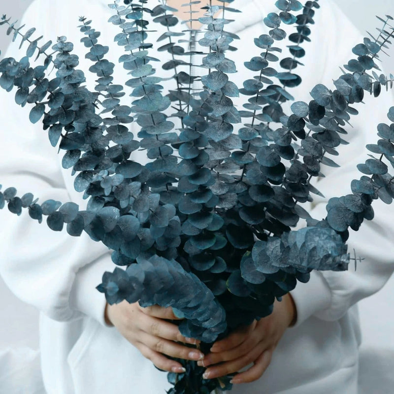 Blue-green preserved eucalyptus stems bouquet, multiple hanging sprigs on stems