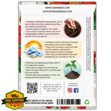 Seed Needs Mexican Sunflower Seeds, 2 Packs, Heirloom Annual Flower Seeds Sunflower