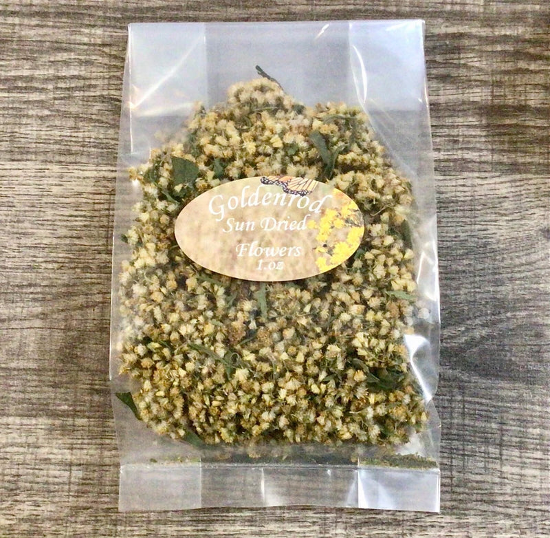 Dried goldenrod flowers in a clear plastic bag, dried herb for tea and crafts