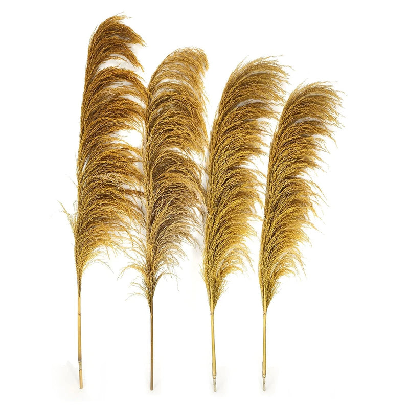 Pampas Grass Decor Tall Long Large Pompas Floral Feather Natural Gold 4 PCS Pampas Grass