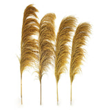 Pampas Grass Decor Tall Long Large Pompas Floral Feather Natural Gold 4 PCS Pampas Grass