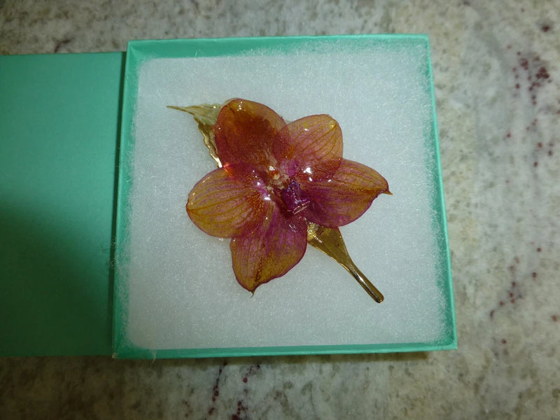 Preserved orchid hair clip with burgundy flower and gold-tone stem, on display box