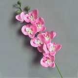 69cm Artificial Phalaenopsis Flower Branches Real Touch Faux Orchid Stems for Fl Flowering Plants