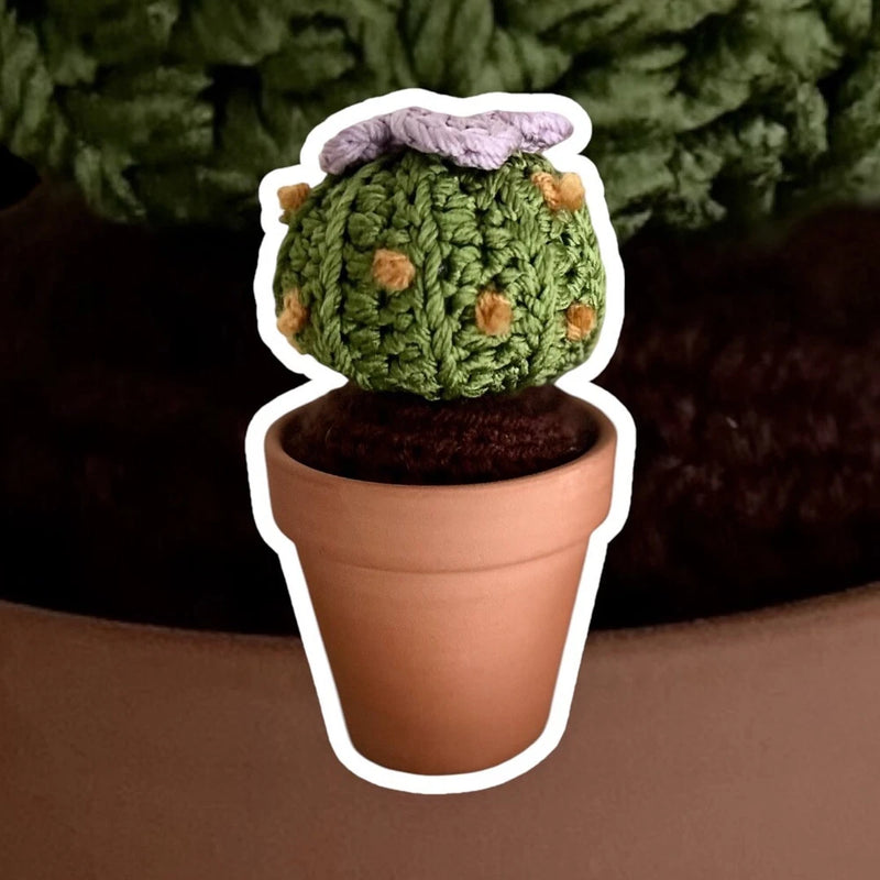 Handmade Crochet Cactus with Flower Decor With Terracotta Pot Green Plant