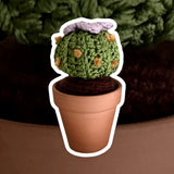 Handmade Crochet Cactus with Flower Decor With Terracotta Pot Green Plant
