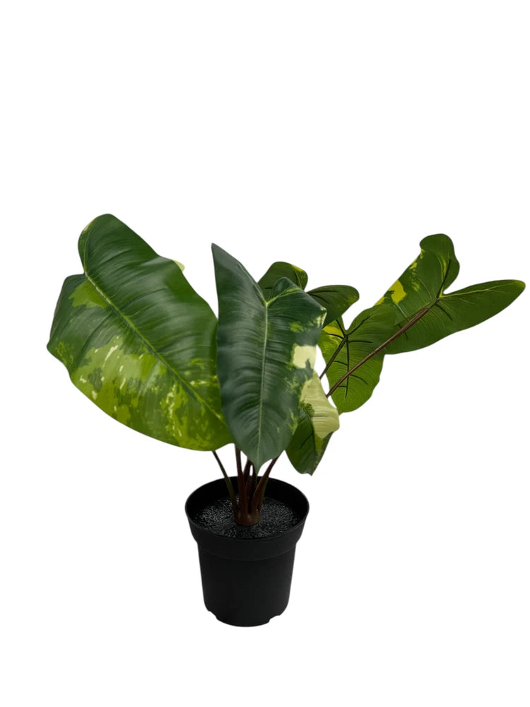 New IKEA FEJKA Artificial Potted Plant Philodendron 15 cm (6 ") 906.008.56 Green Plant