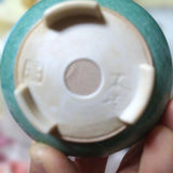 Mini Bonsai Pots, Small Flowerpots, Garden Plant Containers, Used Garden Plants