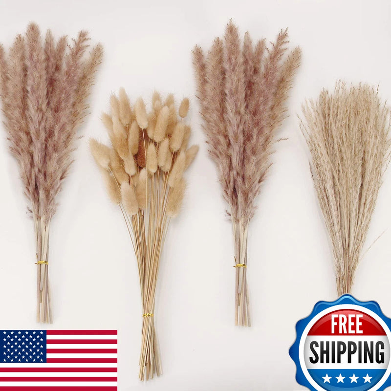 Natural Dried Pampas Grass Decor Brown Bunny Tails Reed Flowers 100pc Pampas Grass