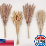 Natural Dried Pampas Grass Decor Brown Bunny Tails Reed Flowers 100pc Pampas Grass