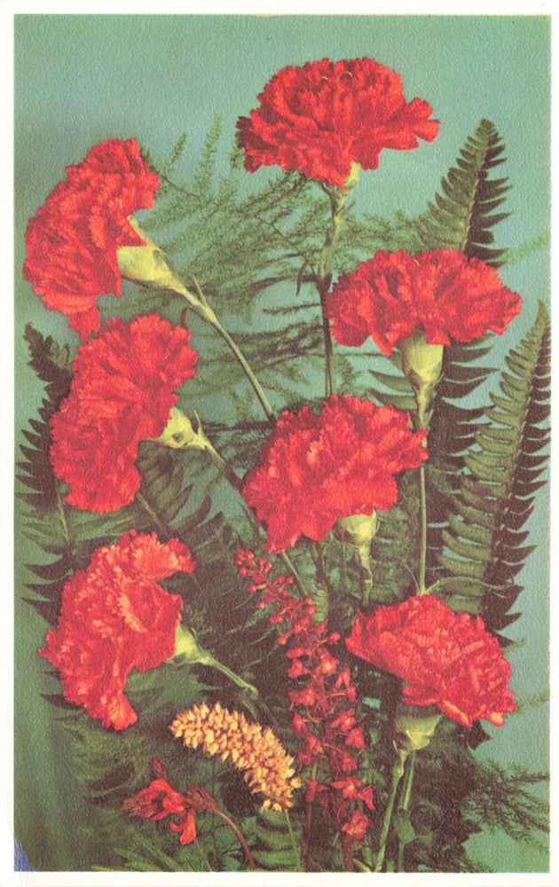 Postcard Carnations Floral Flowers Bouquet by Alfred Mainzer Carnation