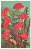 Postcard Carnations Floral Flowers Bouquet by Alfred Mainzer Carnation
