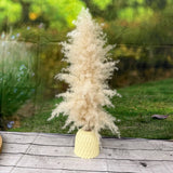Pampas Grass Arrangement Textured Cream Vase Decorative Rustic Centerpiece Pampas Grass