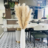 55" " Scarcity Natural Pampas Grass Decor Tall Pompas Wedding Party Farmhouse Pampas Grass