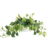 1 Pack Fake Plants Artificial Scindapsus Aureus in White Scindapsus Aureus Green Plant