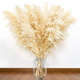 46" inch 11 Stems Natural Pampas Grass Tall Decor,Pompas Grass,Large Beige Ta... Pampas Grass