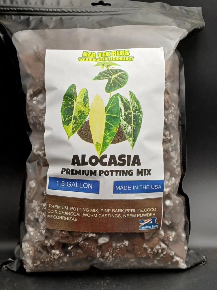 Alocasia premium potting mix 1.5 gallon bag with Aza-Tek Plus label