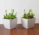 Set of 2 Artificial Miniature grass Potted Green Plant