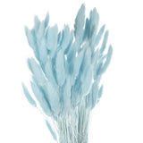 120pcs Natural Bunny Tails Dried Flowers 24" Mini Pampas Grass, Sky Blue Pampas Grass