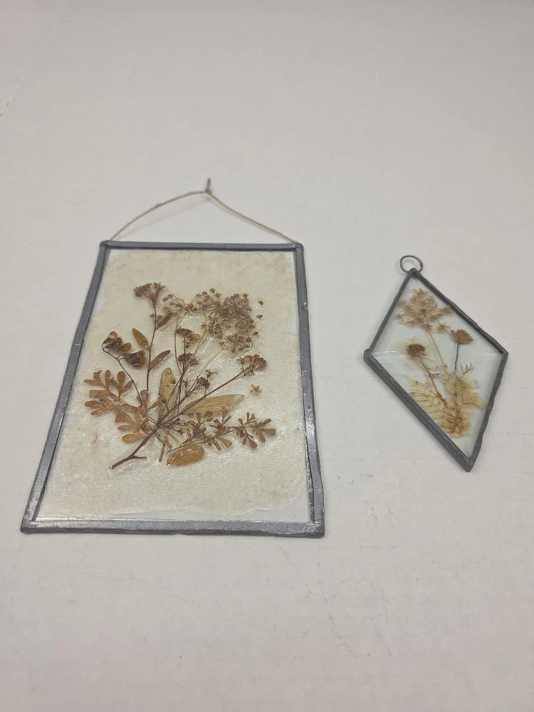 Hanging pressed dried flower in leaded glass frame, rectangular and diamond wall display