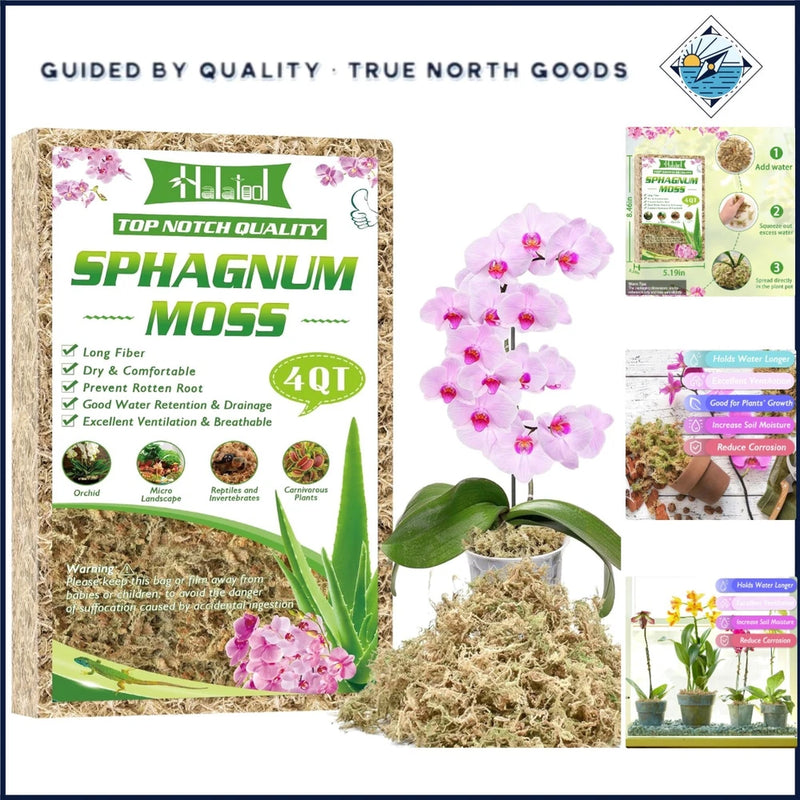 4 Quart  Sphagnum Moss for Indoor Plants and Terrarium Substrate Orchids