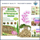 4 Quart  Sphagnum Moss for Indoor Plants and Terrarium Substrate Orchids
