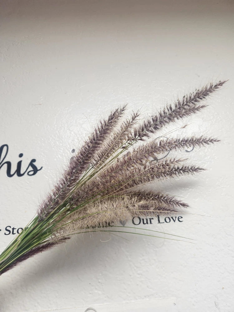 Bundle Of Fountain grass (Pennisetum)  20 Stems In Is each bundle Pampas Grass