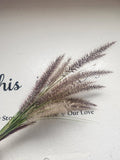 Bundle Of Fountain grass (Pennisetum)  20 Stems In Is each bundle Pampas Grass