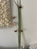 Bright Ideas Dried Floral BranchÕs Dried Flower