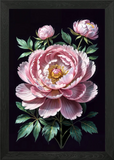 Big pink Peony flower Framed Wall Art Poster Canvas Print Picture Peony
