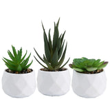 3pcs Faux Succulent Plants for Elegant Decoration in For home and Office Green Plant