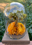 VTG Leonard Creations California Dried Flower Glass Dome on Wood Base w/ Sticker Dried Flower