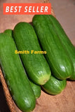 15+ Seeds Mucnher Cucumber Easy Vegetable Garden Planting Edible Garden Plants