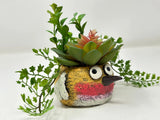 4.5" Potted YELLOW Blob House Beautiful Birds pot WITH soft faux Peach-Green Ech Green Plant