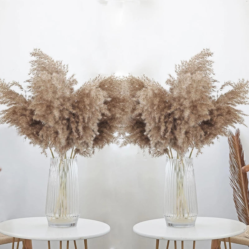 30 Stems 28Ó inch Fluffy Brown Pampas Grass Decor Tall - Natural Dried Pam Pampas Grass