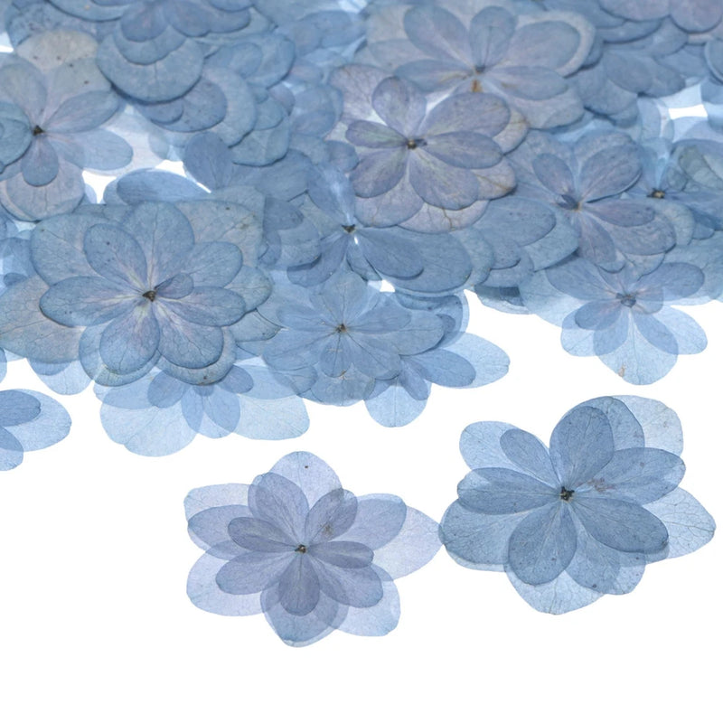 12-Pack Dried Pressed Flowers for Resin, Real Natural Bulk Dry Floral [Blue] Dried Flower