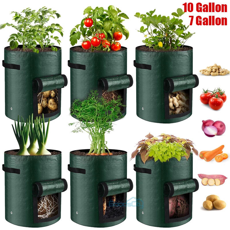 3/6Pcs Garden Plant Growing Bags w/ Flap Waterproof Carrot Onion Potato Grow Bag Garden Plants